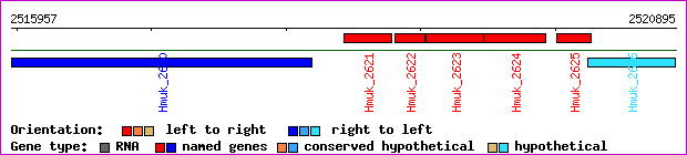 gene map