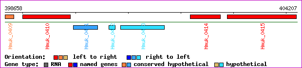 gene map