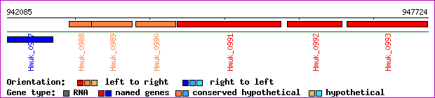 gene map