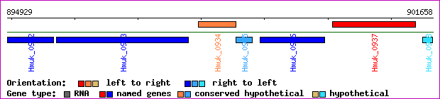 gene map
