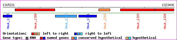 gene map