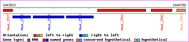 gene map