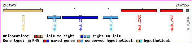 gene map