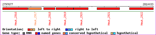 gene map