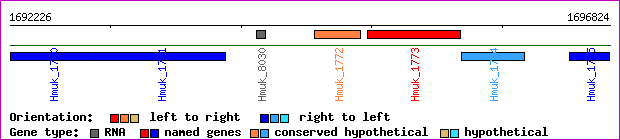 gene map