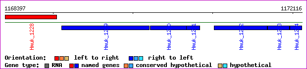 gene map