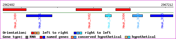 gene map