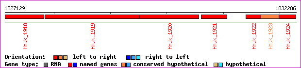 gene map