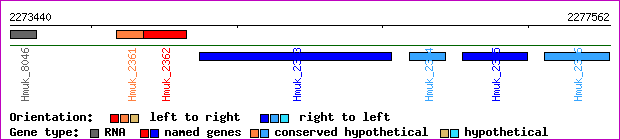 gene map