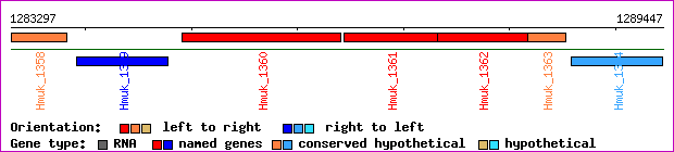 gene map