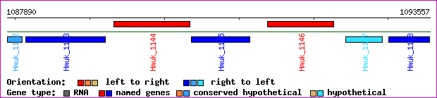 gene map