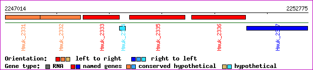 gene map