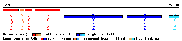 gene map