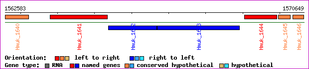 gene map