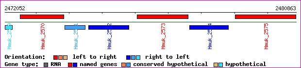 gene map