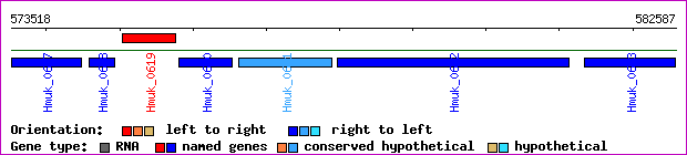 gene map