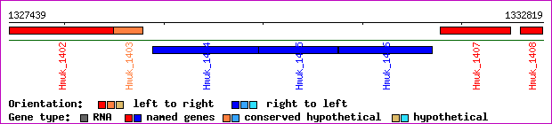 gene map