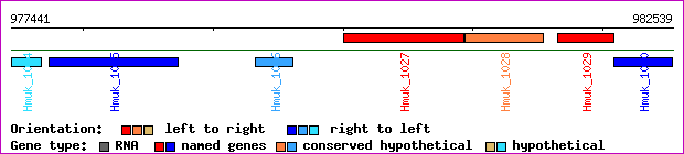 gene map