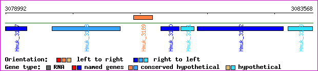 gene map