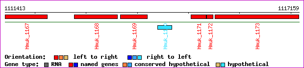 gene map