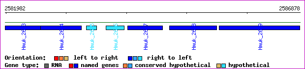 gene map