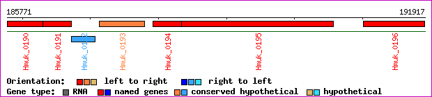 gene map