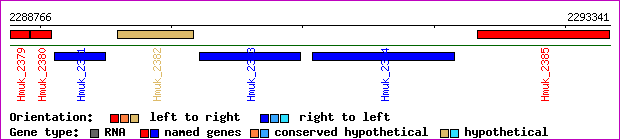 gene map