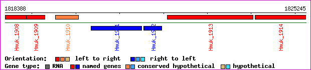 gene map