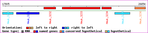 gene map