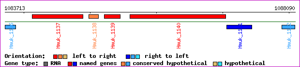 gene map