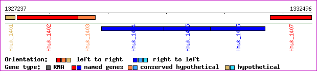 gene map