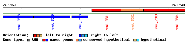 gene map