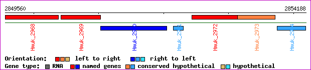 gene map
