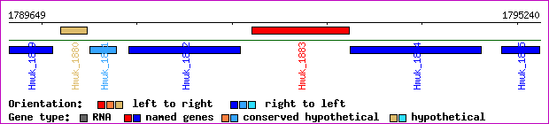 gene map