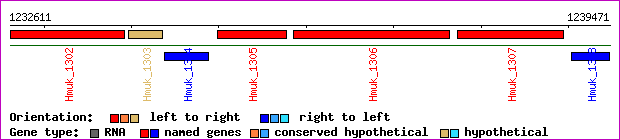 gene map