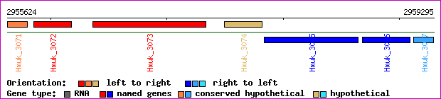 gene map