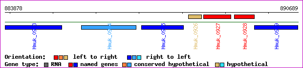 gene map