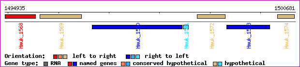 gene map