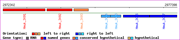 gene map