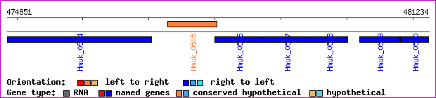 gene map