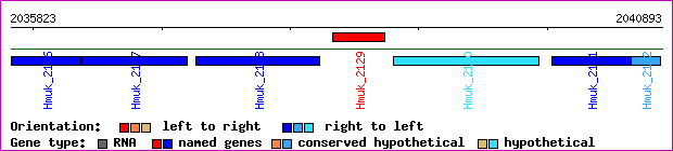 gene map