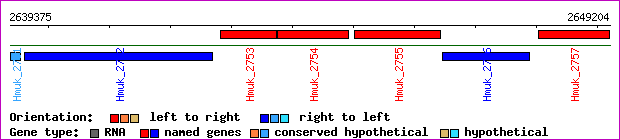 gene map