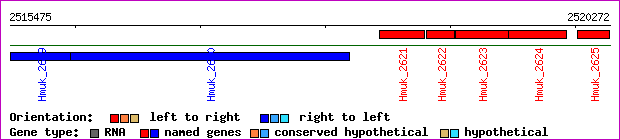 gene map