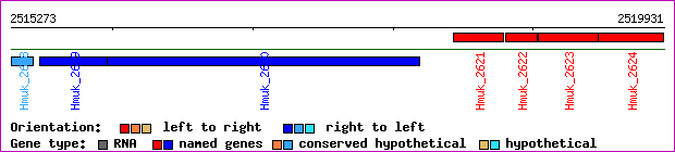 gene map