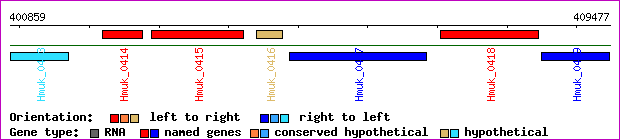 gene map