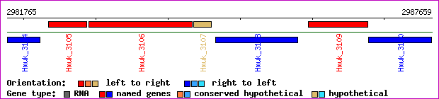 gene map