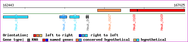 gene map