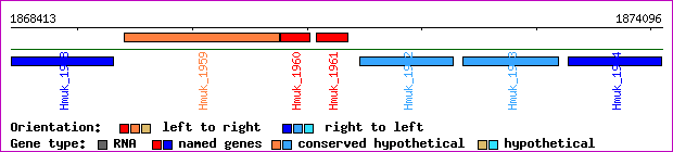 gene map