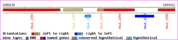 gene map
