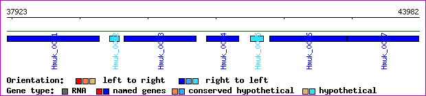 gene map